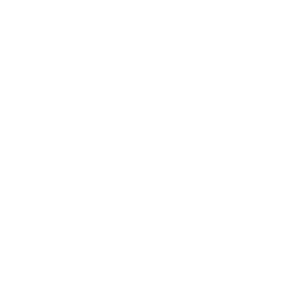 Logo next gen IT blanc (1)
